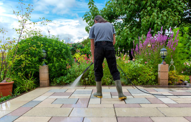 Best Fence Cleaning  in Newhall, IA